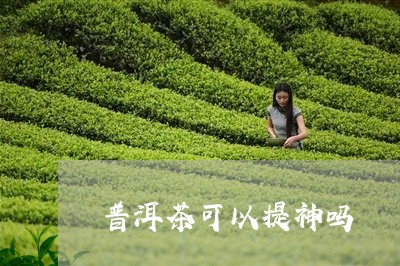 普洱茶可以提神吗/2023041365491