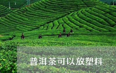 普洱茶可以放塑料/2023041023724