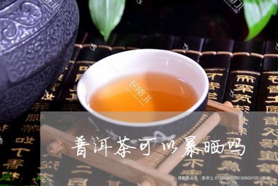 普洱茶可以暴晒吗/2023031767058