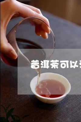 普洱茶可以泡杯吗/2023040157371