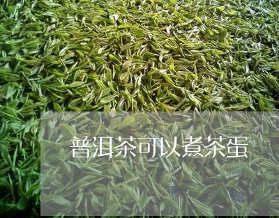 普洱茶可以煮茶蛋/2023032980504