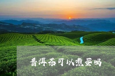 普洱茶可以煮蛋吗/2023032987259