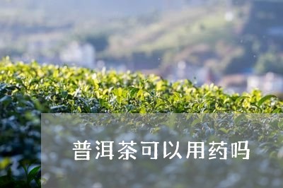 普洱茶可以用药吗/2023040181624