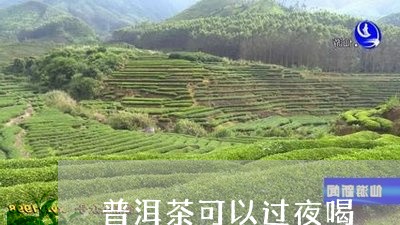 普洱茶可以过夜喝/2023041093061