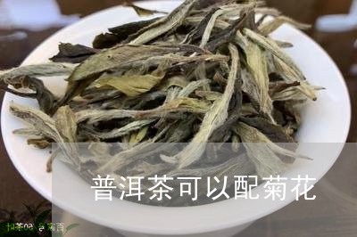 普洱茶可以配菊花/2023041065259