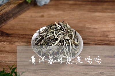 普洱茶可蒸煮吗吗/2023033065270