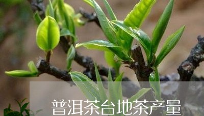 普洱茶台地茶产量/2023031785179