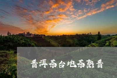 普洱茶台地茶熟普/2023041116170