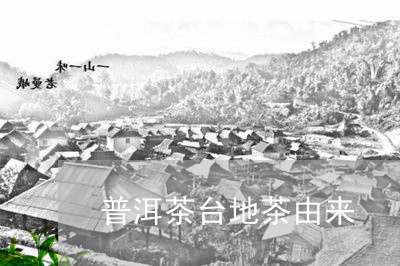 普洱茶台地茶由来/2023031760606