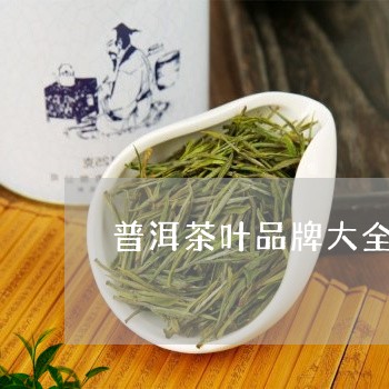 普洱茶叶品牌大全/2023032997725