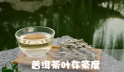 普洱茶叶存茶度/2023040990394