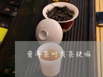 普洱茶叶有茶梗嘛/2023041267258