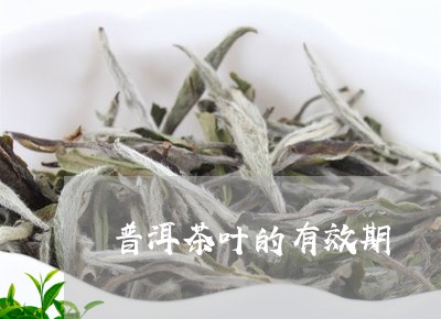 普洱茶叶的有效期/2023032975047