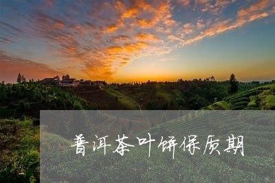 普洱茶叶饼保质期/2023032946137