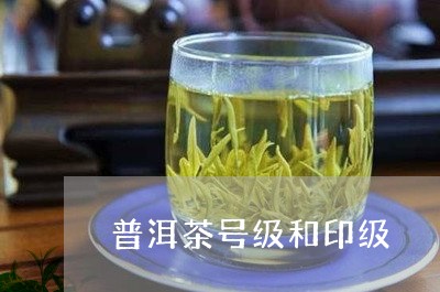 普洱茶号级和印级/2023033063825