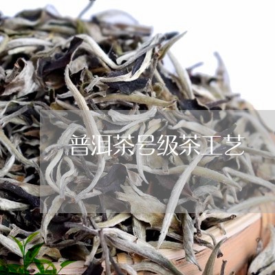 普洱茶号级茶工艺/2023031614047