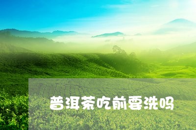 普洱茶吃前要洗吗/2023033193149