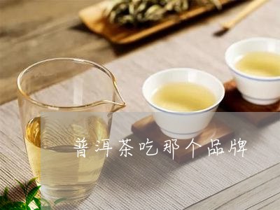 普洱茶吃那个品牌/2023041039372