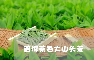 普洱茶各大山头茶/2023041184079