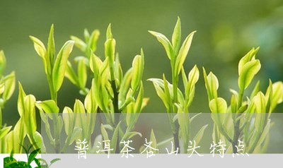 普洱茶各山头特点/2023041207179