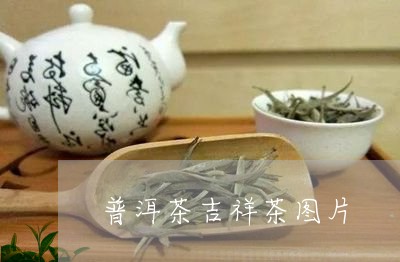 普洱茶吉祥茶图片/2023041201582