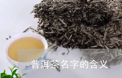 普洱茶名字的含义/2023040958704