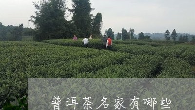 普洱茶名家有哪些/2023041217483