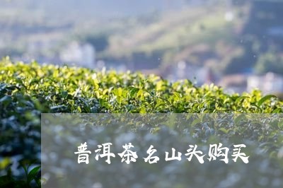 普洱茶名山头购买/2023041330571