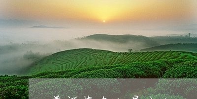 普洱茶名山易武山/2023040972818