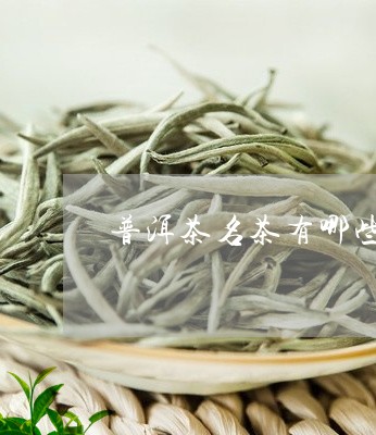 普洱茶名茶有哪些/2023041351925