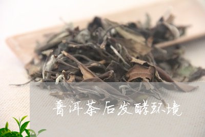 普洱茶后发酵环境/2023031851835