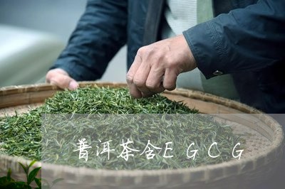 普洱茶含EGCG/2023041037259