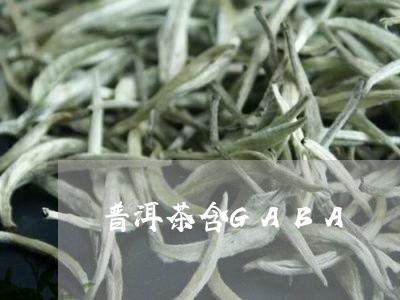 普洱茶含GABA/2023041041525