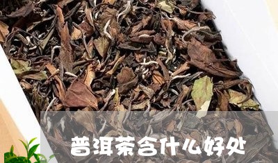 普洱茶含什么好处/2023031784150