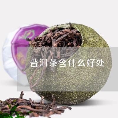 普洱茶含什么好处/2023041293858