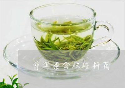 普洱茶含双岐杆菌/2023041208359