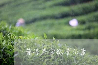 普洱茶含微量元素/2023040159682