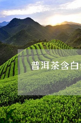 普洱茶含白藜芦醇/2023040104027