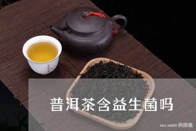 普洱茶含益生菌吗/2023040950372