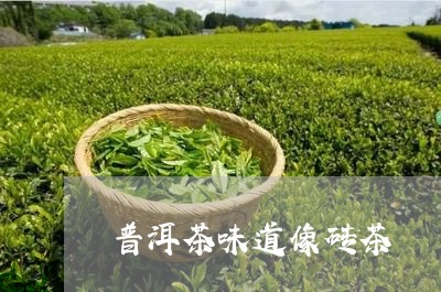 普洱茶味道像砖茶/2023041386489