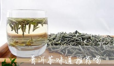 普洱茶味道推荐喝/2023031811614