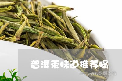 普洱茶味道推荐喝/2023041320572