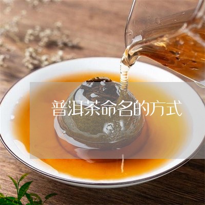 普洱茶命名的方式/2023041313926