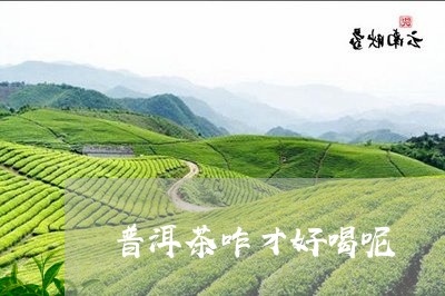 普洱茶咋才好喝呢/2023031751715