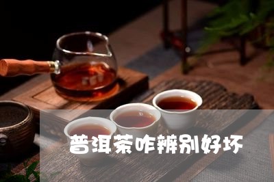 普洱茶咋辨别好坏/2023031891704