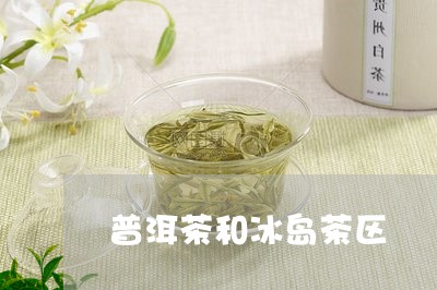 普洱茶和冰岛茶区/2023041346260