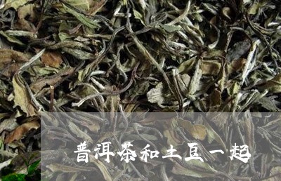 普洱茶和土豆一起/2023031697139