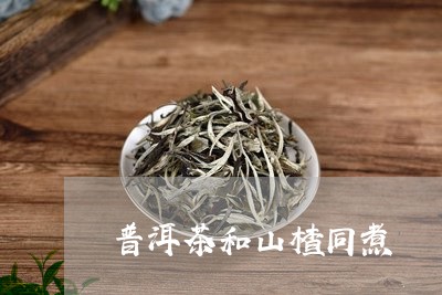 普洱茶和山楂同煮/2023040171503