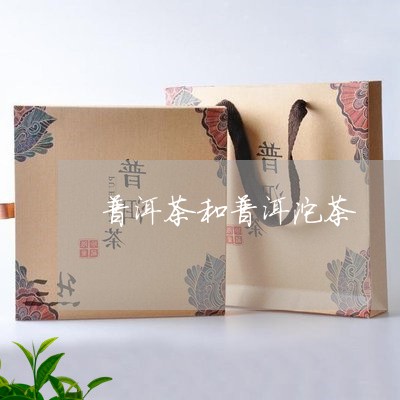 普洱茶和普洱沱茶/2023041297493