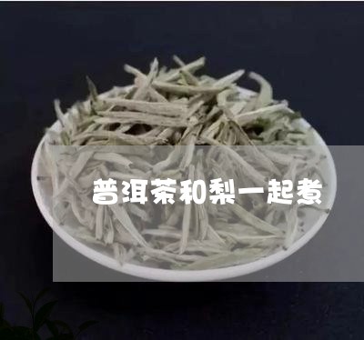 普洱茶和梨一起煮/2023033019692